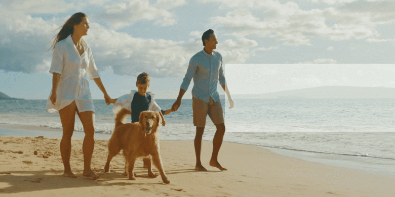 Whole life insurance